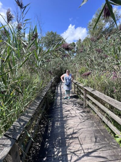 Tyler Pavilion - Pittsford, NY