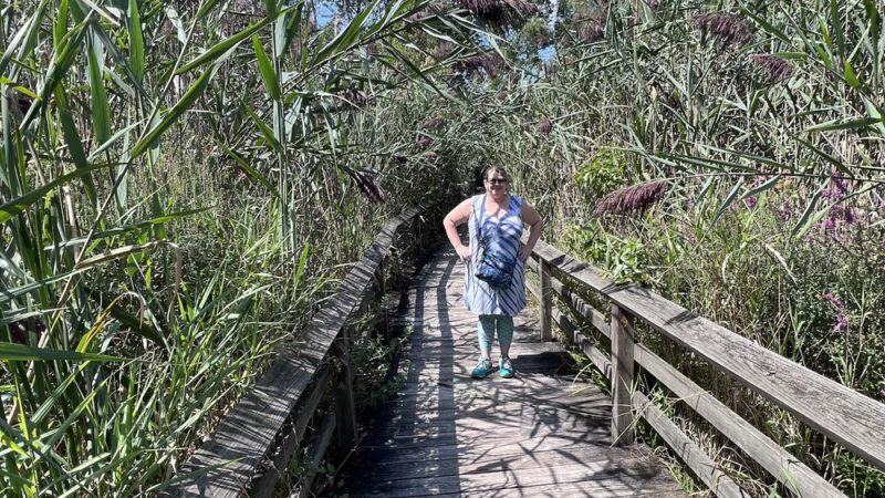 Tyler Pavilion - Pittsford, NY