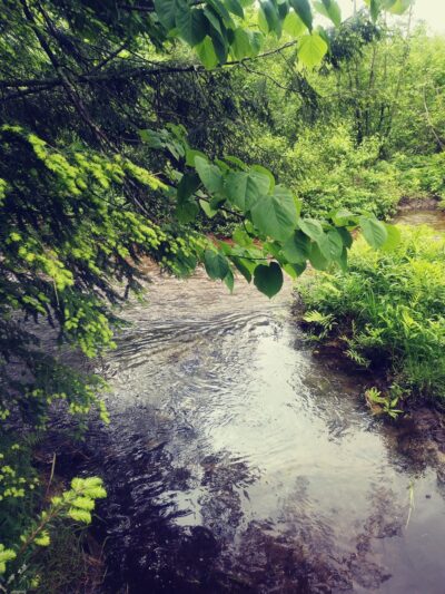 Pittsford Recreation Area - Pittsford, VT