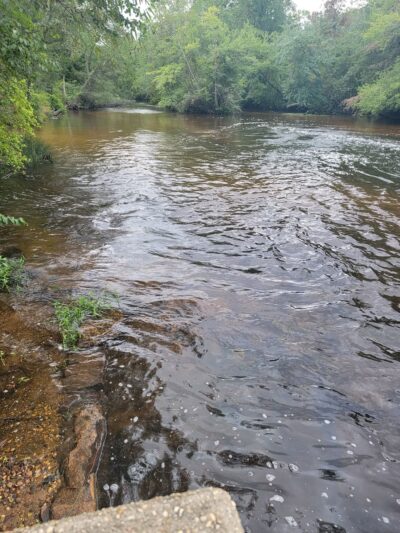 Park - Pittsgrove, NJ