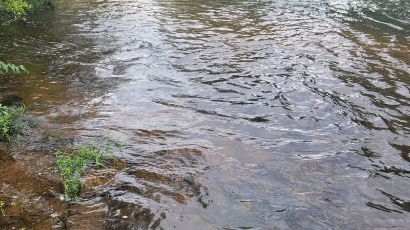 Park - Pittsgrove, NJ