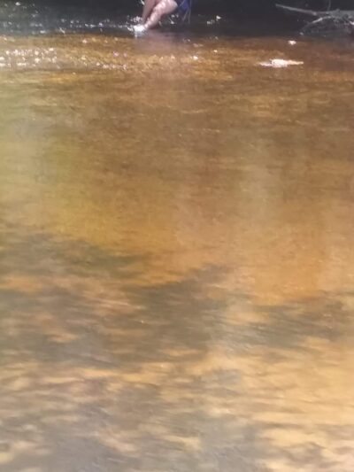 Park - Pittsgrove, NJ