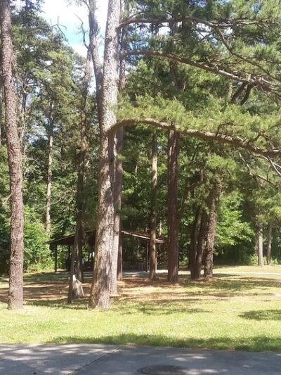 Thundergust Lake Picnic Area - Pittsgrove, NJ