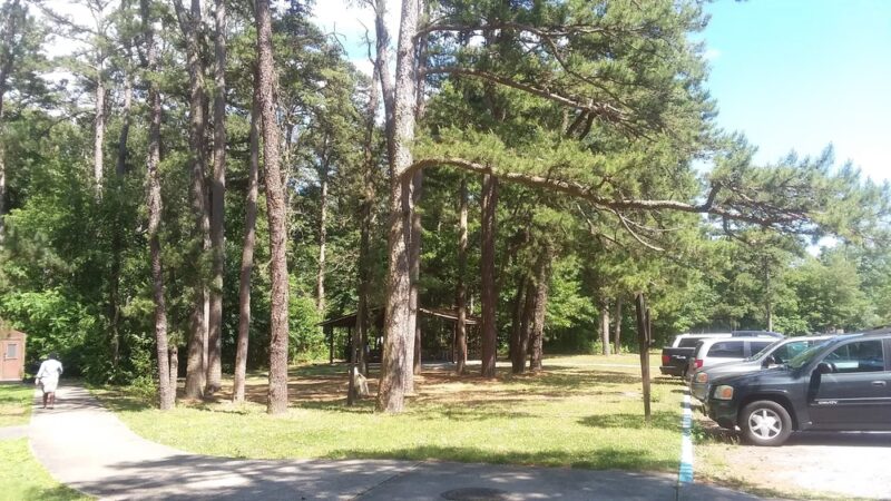Thundergust Lake Picnic Area - Pittsgrove, NJ