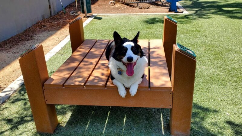 310 Jefferson Apartments Dog Park - Placentia, CA