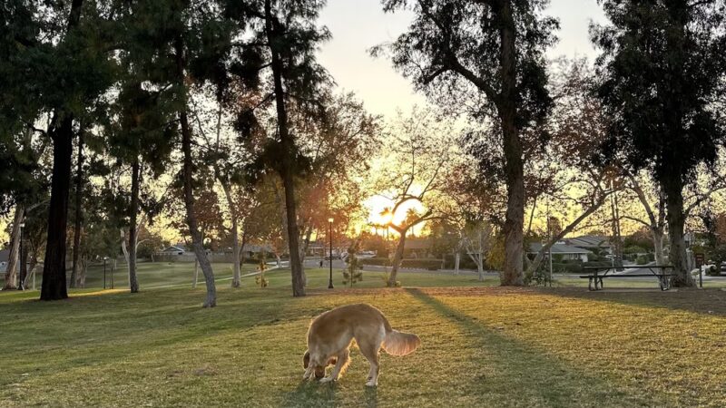 Parque De Los Vaqueros - Placentia, CA