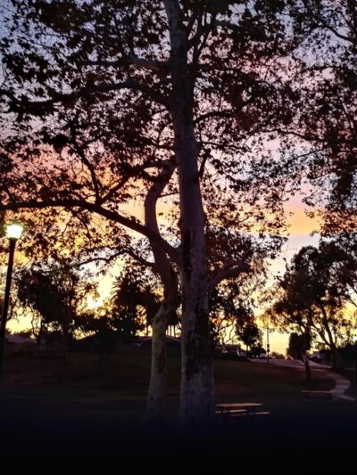 Parque De Los Vaqueros - Placentia, CA