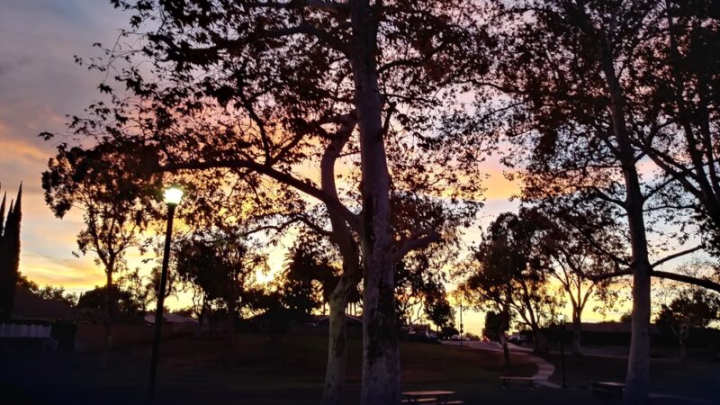 Parque De Los Vaqueros - Placentia, CA