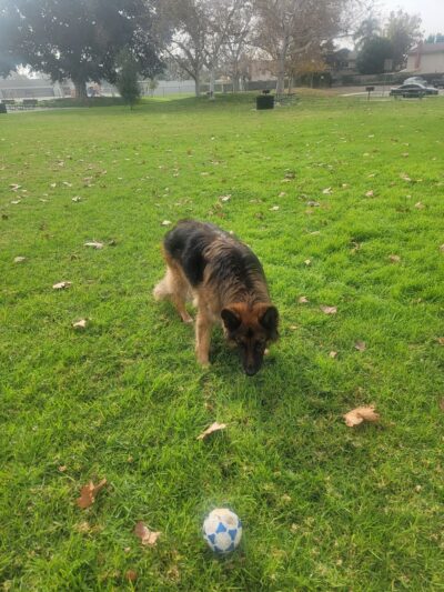 Richard Samp Park - Placentia, CA