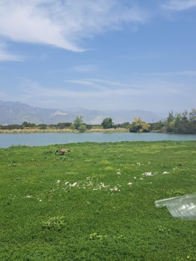 Santa Fe Park - Placentia, CA