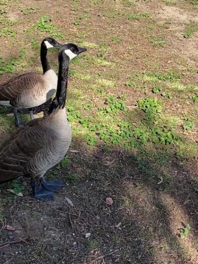 Tri-City Park - Placentia, CA