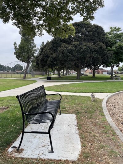 Wagner Park - Placentia, CA