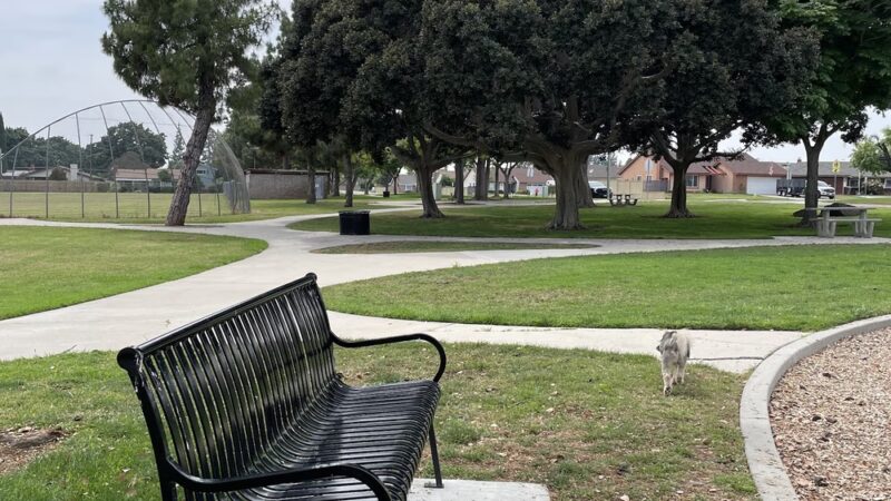 Wagner Park - Placentia, CA