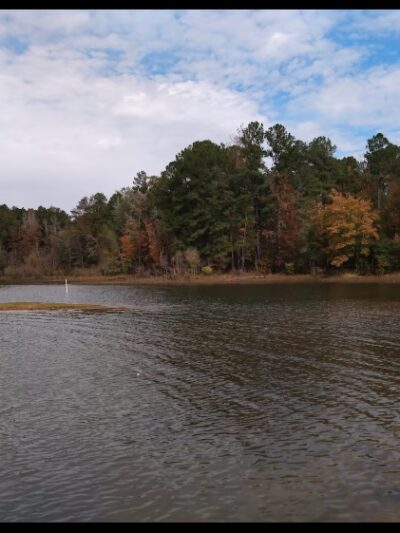 Lake Dogwood - Plain Dealing, LA