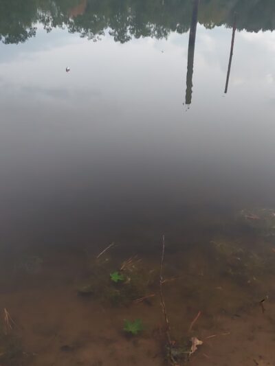 Lake Dogwood - Plain Dealing, LA