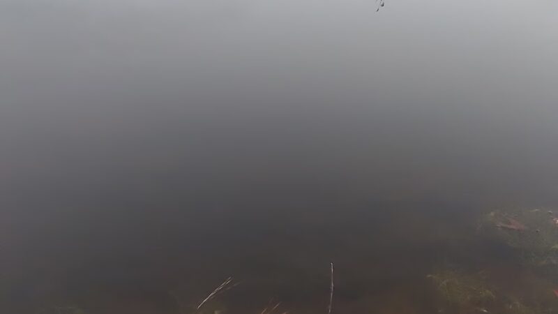 Lake Dogwood - Plain Dealing, LA