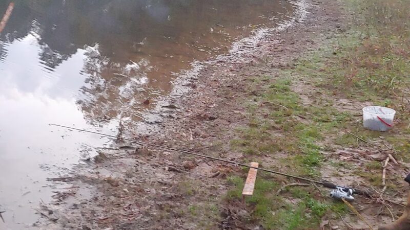 Lake Dogwood - Plain Dealing, LA