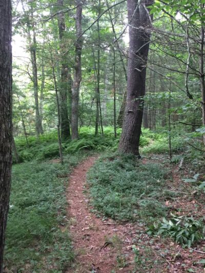 Quinebaug River Wildlife Management Area - Plainfield, CT