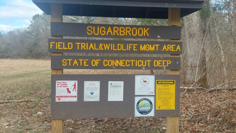 Quinebaug River Wildlife Management Area - Plainfield, CT