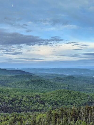 Lr Jones State Forest - Plainfield, VT