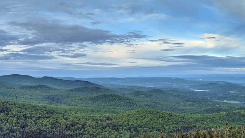 Lr Jones State Forest - Plainfield, VT