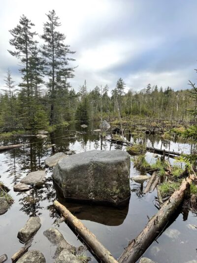Lr Jones State Forest - Plainfield, VT