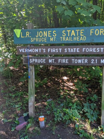 Lr Jones State Forest - Plainfield, VT