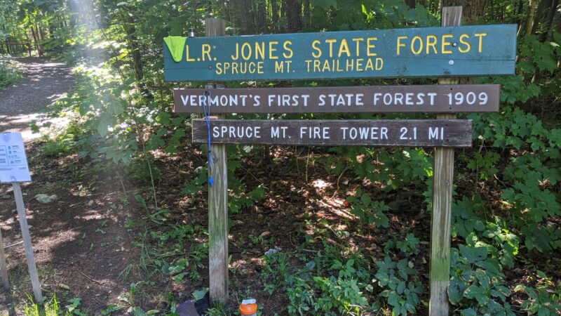 Lr Jones State Forest - Plainfield, VT