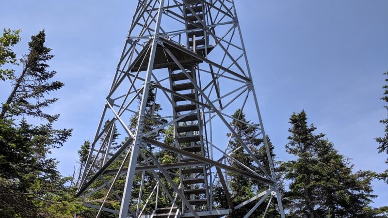 Lr Jones State Forest - Plainfield, VT