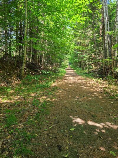 Rail Trail - Plainfield, VT