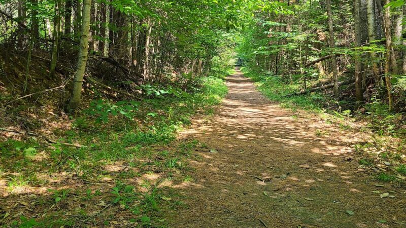 Rail Trail - Plainfield, VT