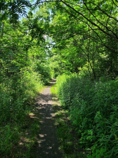 Rail Trail - Plainfield, VT