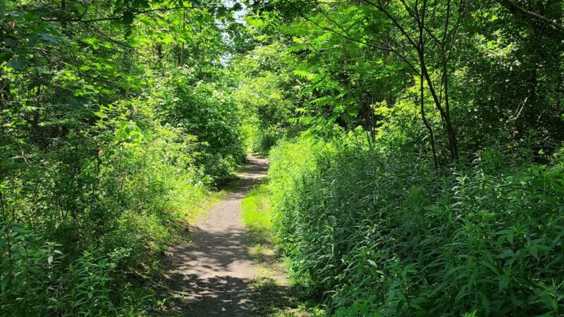 Rail Trail - Plainfield, VT