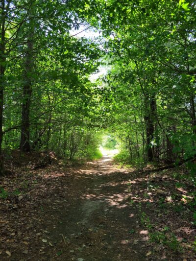 Rail Trail - Plainfield, VT