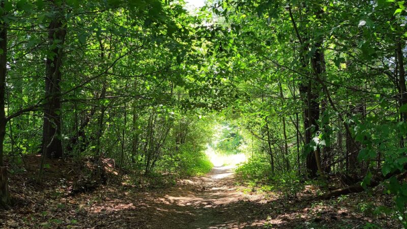 Rail Trail - Plainfield, VT
