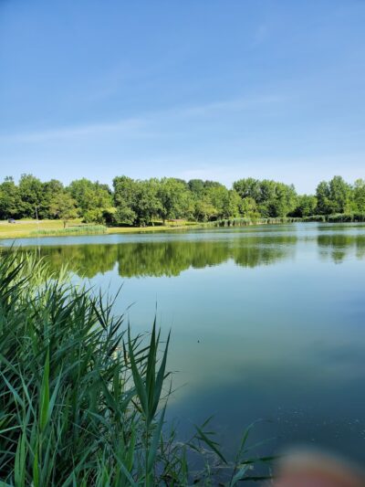 Foli Park - Plano, IL
