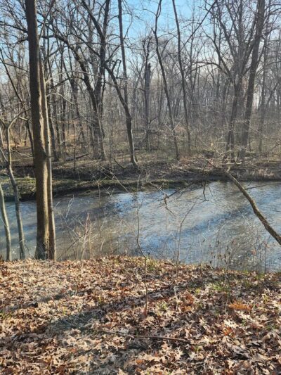 Jay Woods Forest Preserve - Plano, IL