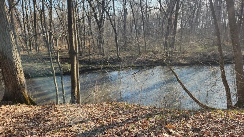 Jay Woods Forest Preserve - Plano, IL