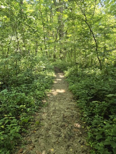 Jay Woods Forest Preserve - Plano, IL