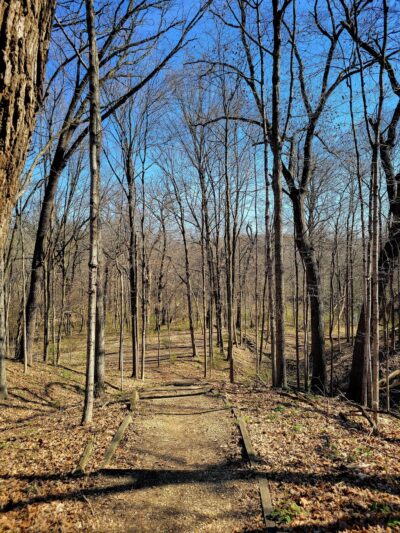 Little Rock Creek Forest Preserve - Plano, IL