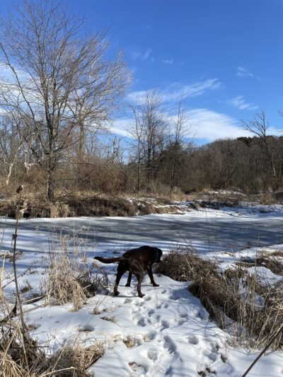 Little Rock Creek Forest Preserve - Plano, IL