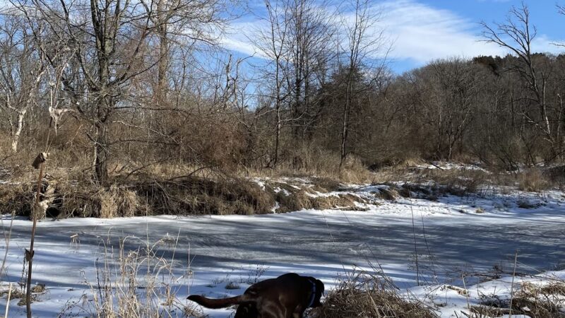 Little Rock Creek Forest Preserve - Plano, IL