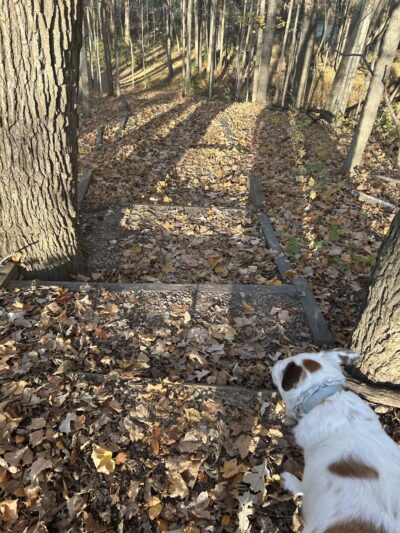 Little Rock Creek Forest Preserve - Plano, IL