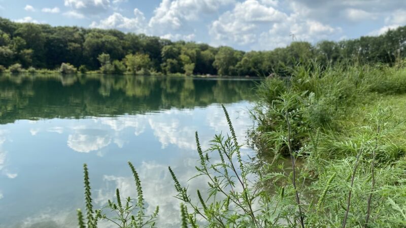 Loon Lake Parking Lot - Plano, IL