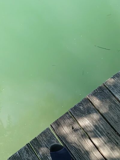 Loon Lake Parking Lot - Plano, IL