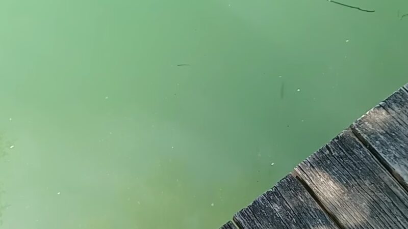 Loon Lake Parking Lot - Plano, IL