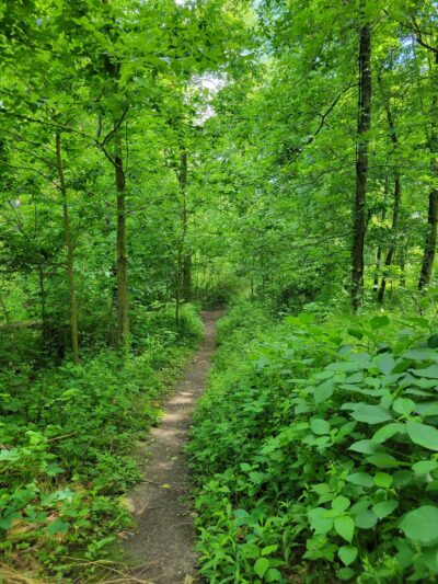 Maramech Forest Preserve - Plano, IL