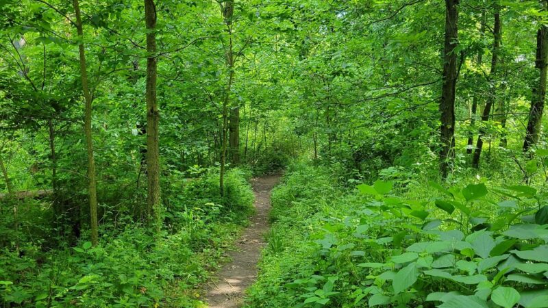 Maramech Forest Preserve - Plano, IL