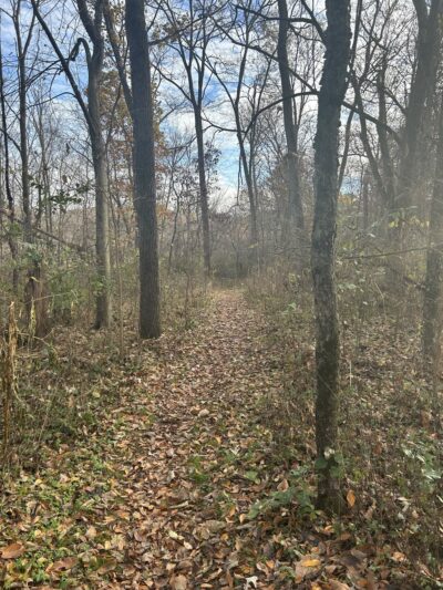 Maramech Forest Preserve - Plano, IL