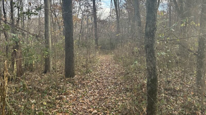 Maramech Forest Preserve - Plano, IL